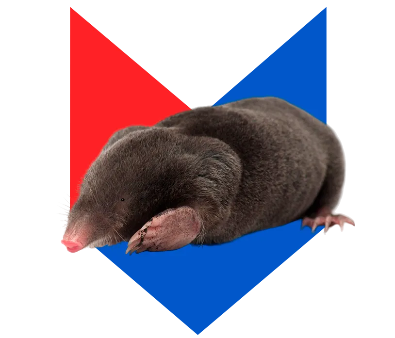 Крот Крот